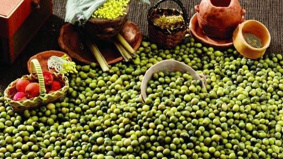 2017 New Crop Common Cultivation Sprouting Green Mung Beans